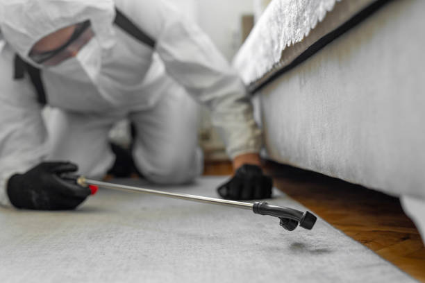 Professional Termite Control technician working in New Milford, NJ