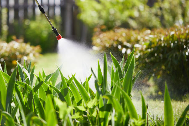 24/7 Emergency Termite Control experts in New Milford, NJ